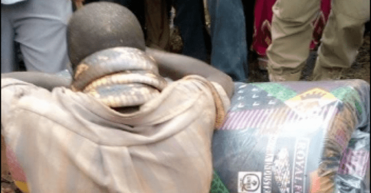 Insolite : Un homme arrêté par un serpent après avoir volé un matelas