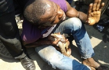 Insolite : Un homme arrêté par un serpent après avoir volé u