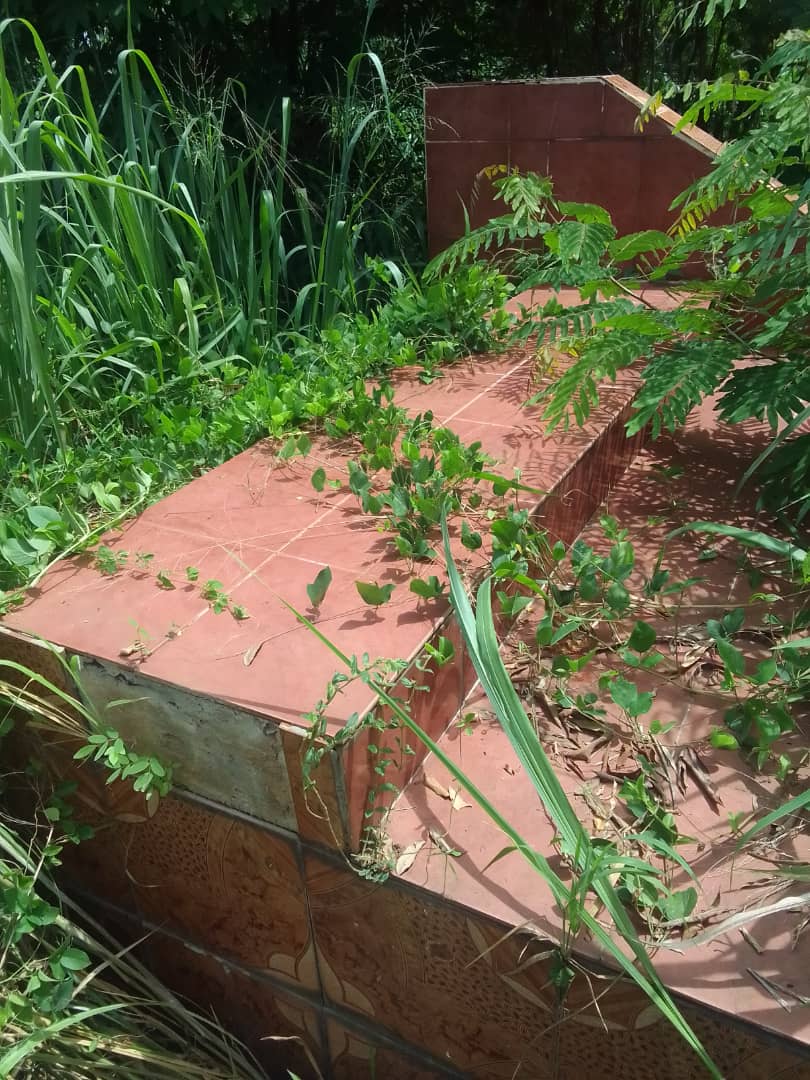L'artiste Akézo mort en 2003/ Sa tombe envahie par les hautes herbes