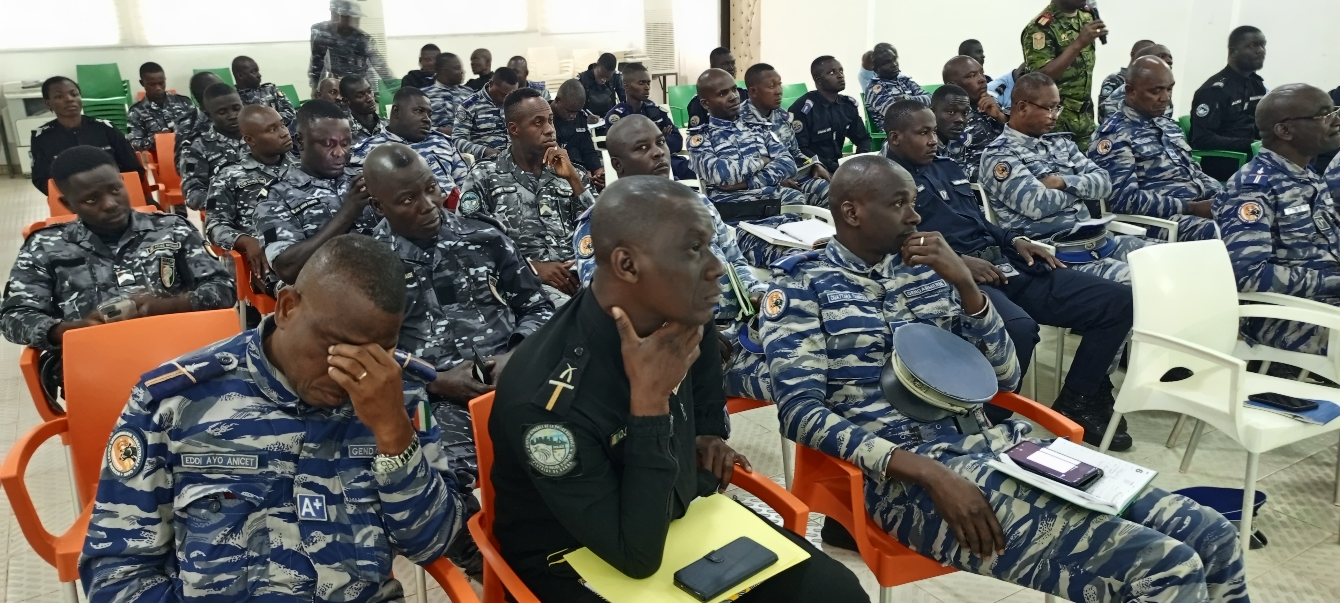 Lutte contre la peste porcine africaine/Le Mirah appelle les