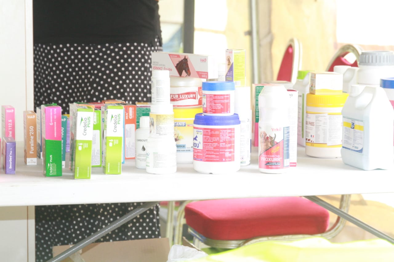 Résistance antimicrobienne : des pratiques responsables pour