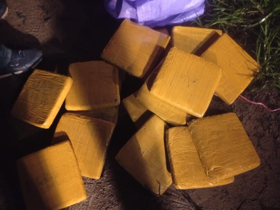 Aboisso/ Surpris dans une plantation, un dealer abandonne un