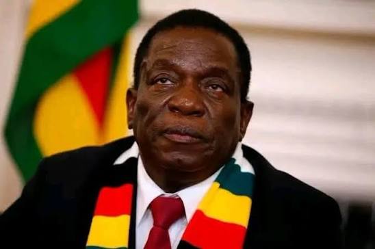 Zimbabwe, l'anniversaire du président Mnangagwa devient jour férié national