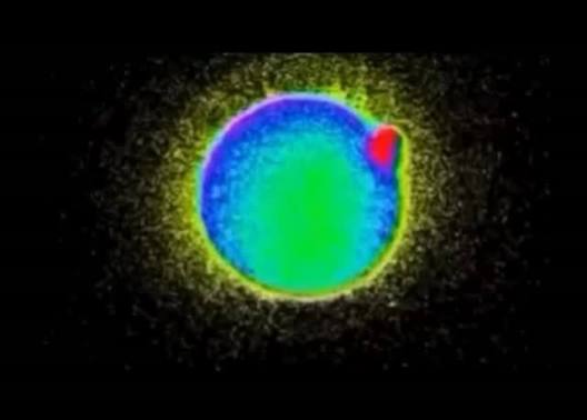 Étincelle de zinc, ce que la science sait vraiment du flash de la fécondation